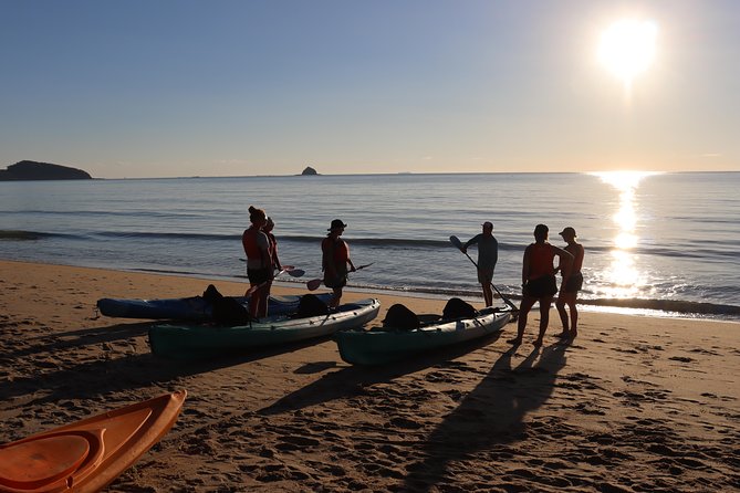 Kayak Turtle Tour From Palm Cove - Customer Feedback