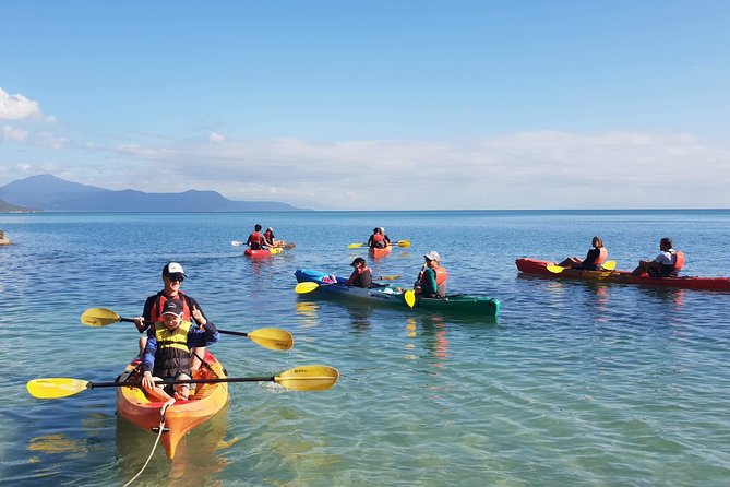 Kayak Turtle Tour From Palm Cove - Booking Your Adventure