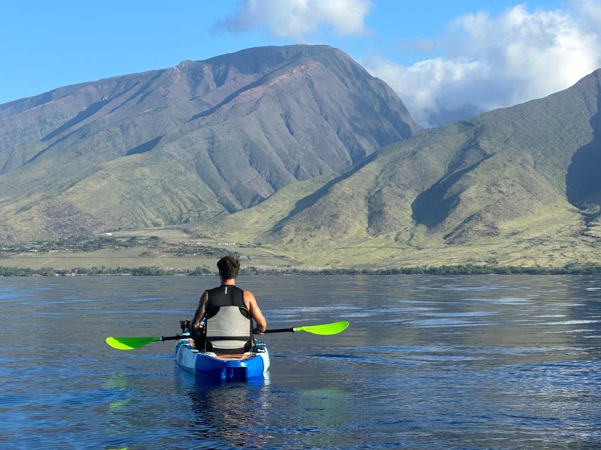 Kayak, Whale Watch And Snorkel At Turtle Town - Additional Information