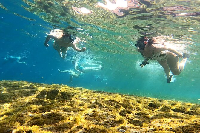 Kayaking Adventure Route With Snorkeling in Mogan Caves - Tour Reviews and Recognition