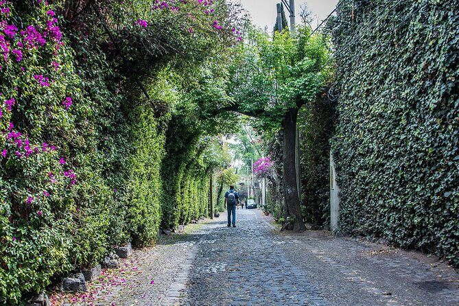 Kayaking adventure through the Xochimilco and Frida Kahlo Canals - A Detailed Look at the Tour Itself