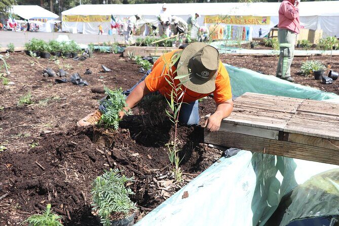 Kayaking adventure through the Xochimilco and Frida Kahlo Canals - FAQ