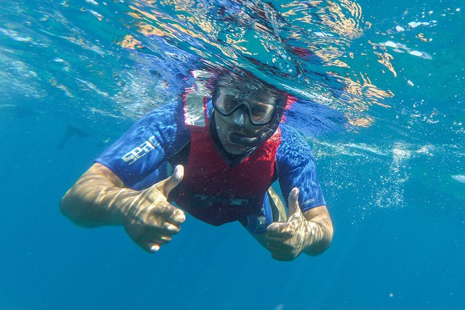 Kayaking and Snorkeling - Inclusions