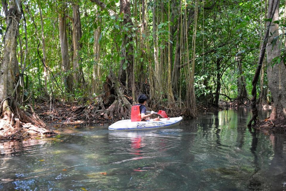 Kayaking and Swiming Klongrood - Pricing and Booking