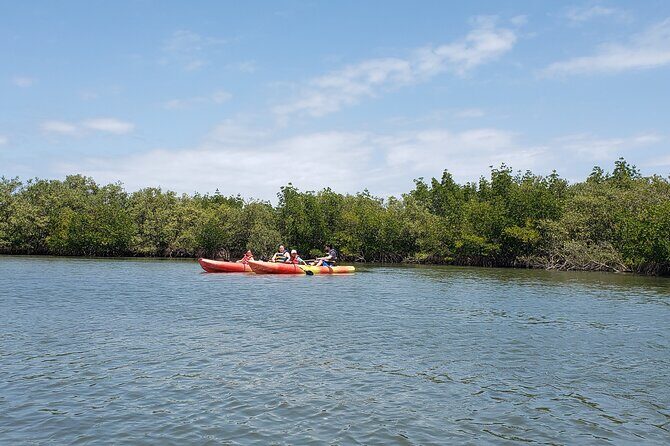Kayaking Backwaters of New Smyrna Beach Ecotour/Birdwatching - Discovering the Peaceful Backwaters of New Smyrna Beach