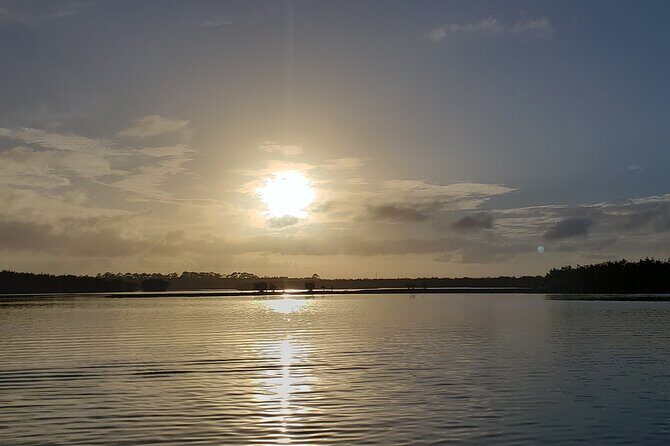 Kayaking Backwaters of New Smyrna Beach Ecotour/Birdwatching - Pricing and Value