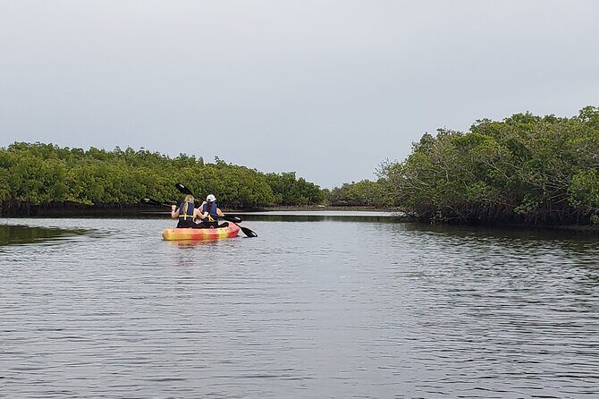 Kayaking Backwaters of New Smyrna Beach Ecotour/Birdwatching - What Reviews (So Far) Tell Us