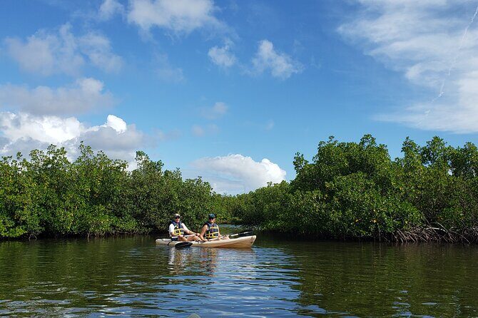 Kayaking Backwaters of New Smyrna Beach Ecotour/Birdwatching - Who Should Consider This Tour?