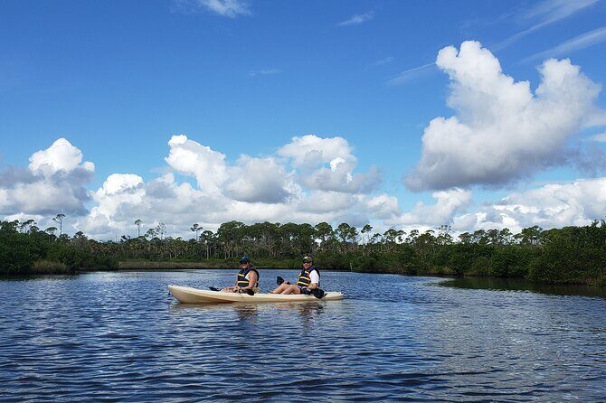 Kayaking Backwaters of New Smyrna Beach Ecotour/Birdwatching - Final Thoughts: Is It Worth It?