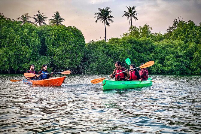 Kayaking in Mangrove Forest of Paravur Backwaters Near Varkala and Kollam - Experience Duration and Conditions