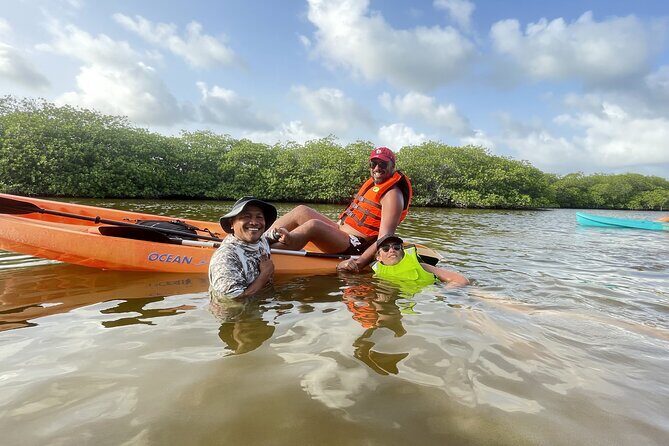 Kayaking in the Mangroves Experience - Practical Considerations
