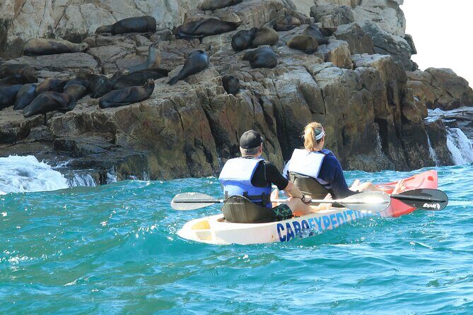 Kayaking & Snorkeling in the Spectacular Waters of Los Cabos - Final Thoughts: Is It Worth It?