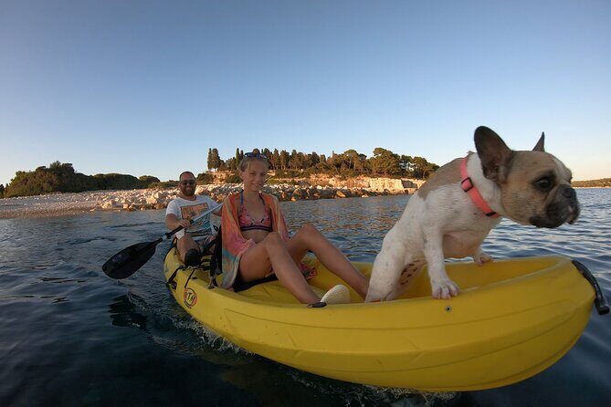 Kayaking to Island Saint Jerolim with snorkeling activitie - Who Will Love This Tour?