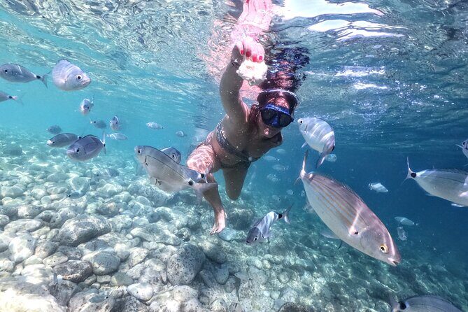 Kayaking to Island Saint Jerolim with snorkeling activitie - FAQs