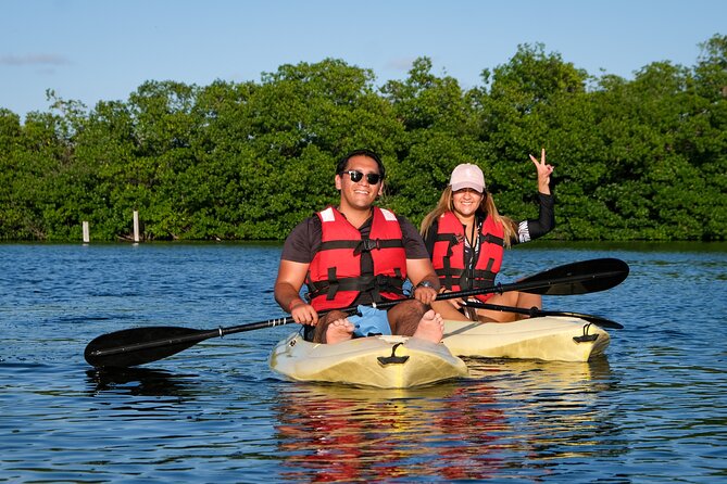 Kayaking Tour in Cancun - Inclusions and Pricing