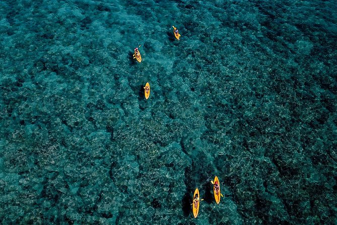 Kayaking Tour of Kailua Bay With Lunch, Oahu - Safety Guidelines