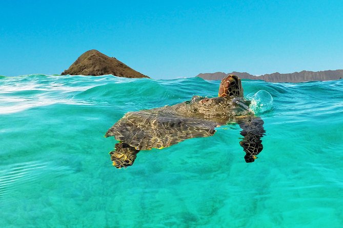 Kayaking Tour of Kailua Bay With Lunch, Oahu - Booking Information