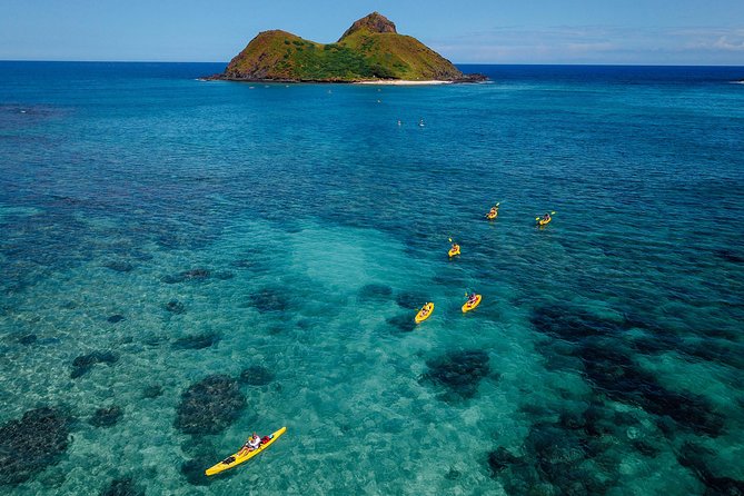 Kayaking Tour of Kailua Bay With Lunch, Oahu - Customer Testimonials
