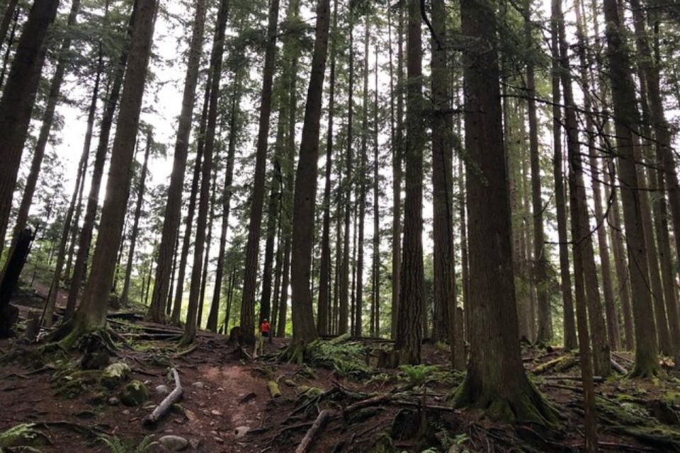 Kayaking Vancouver Tour - Itinerary Highlights