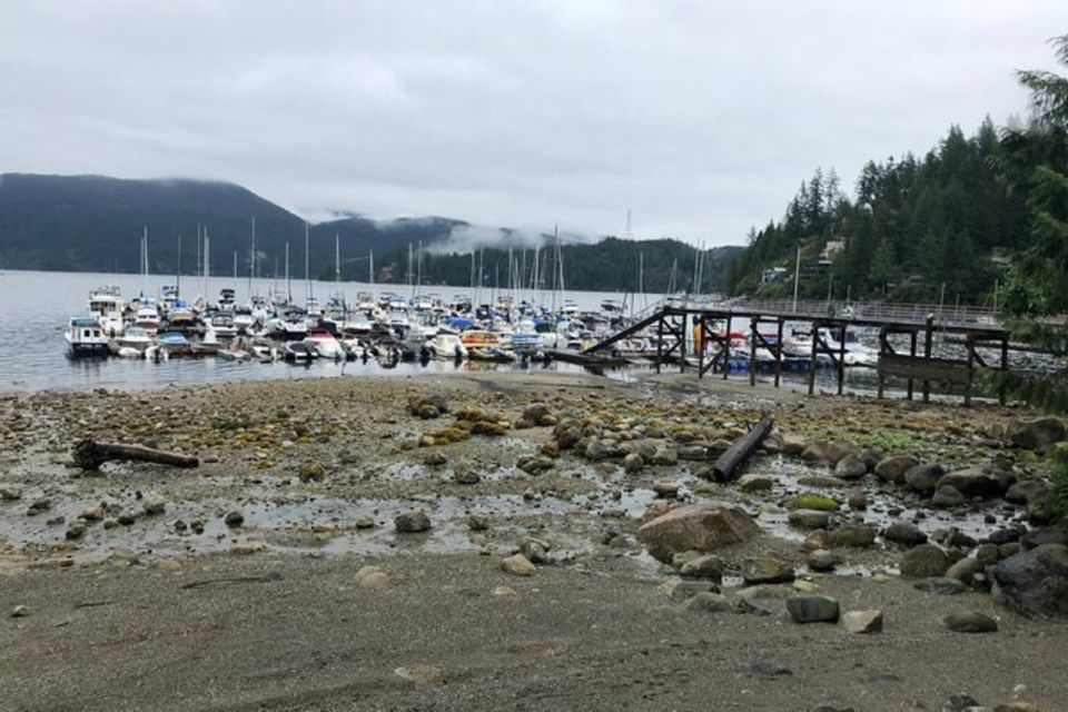 Kayaking Vancouver Tour - Additional Tour Details