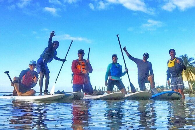 Kayaking with coastal wildlife in Sarasota Bay - Exploring Sarasota Bay by Kayak: A Naturalist’s Dream