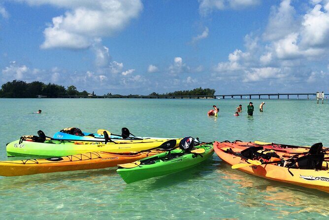 Kayaking with coastal wildlife in Sarasota Bay - Key Points