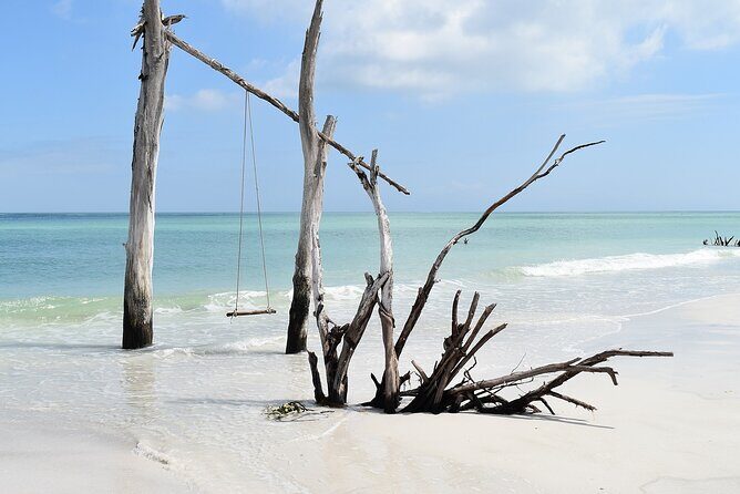 Kayaking with coastal wildlife in Sarasota Bay - The Value of the Tour: Price and Experience