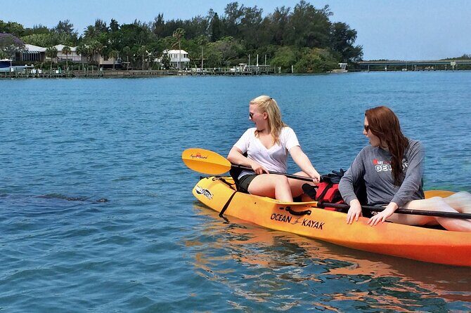 Kayaking with coastal wildlife in Sarasota Bay - The Guides: Knowledge and Respect for Nature