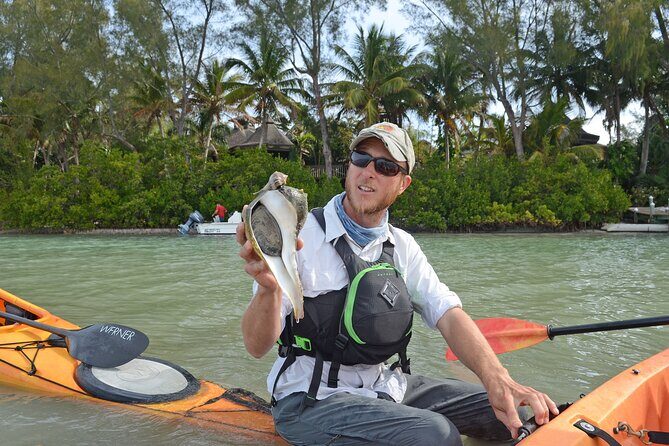 Kayaking with coastal wildlife in Sarasota Bay - The Sum Up: The Best Coastal Wildlife Kayaking Experience