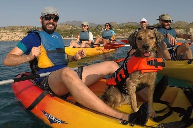Kayaking With Dogs - Directions to Meeting Point