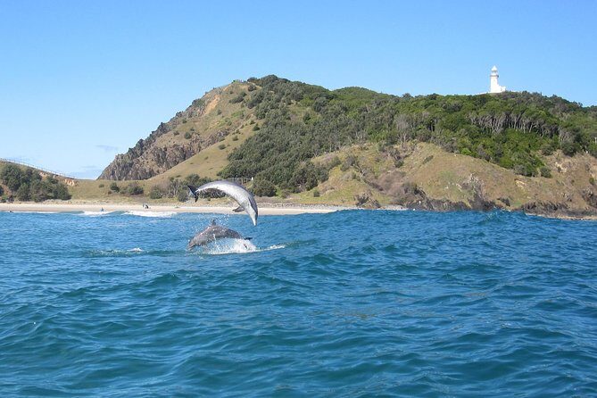 Kayaking with Dolphins in Byron Bay Guided Tour - An Honest Look at the Byron Bay Kayaking Experience