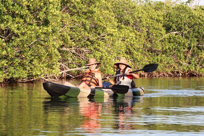 Kayaks at the Mangroves Lagoon Ecosystem from Cancun - A Closer Look at the Experience