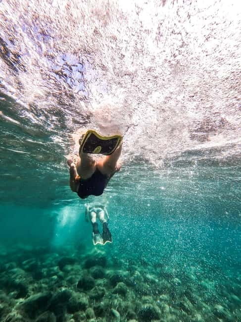 Kayak&Snorkel Tour - The Secret of the Posidonia - A Detailed Look at the Experience
