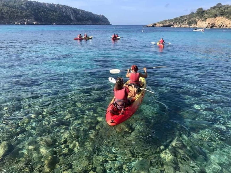 Kayak&Snorkel Tour - The Secret of the Posidonia - Who Should Consider This Tour?