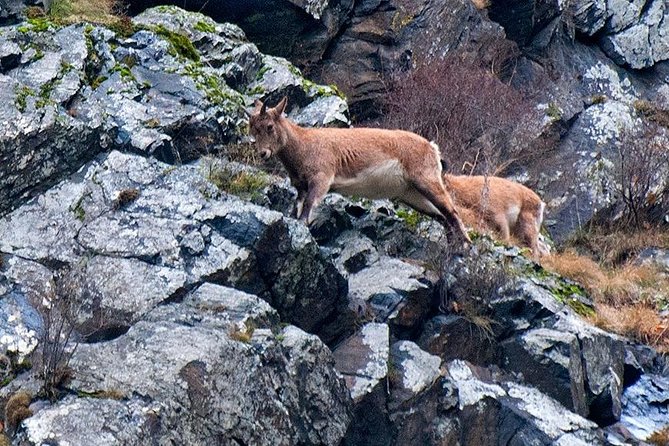 Kazbegi, Ananuri , Gudauri and Zhinvali (Group Tour) - Highlights and Inclusions