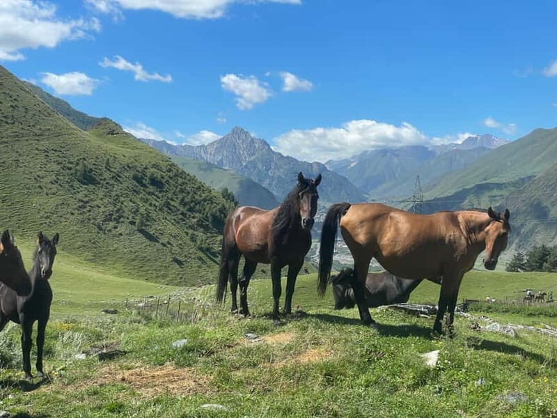 Kazbegi:Sunset Horse Riding Tour from Rooms Hotel Kazbegi - An Authentic Mountain Experience in a Short Time
