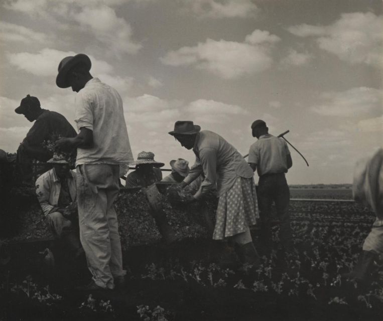 KBr MAPFRE Foundation Barcelona Photo Center - Current Exhibitions