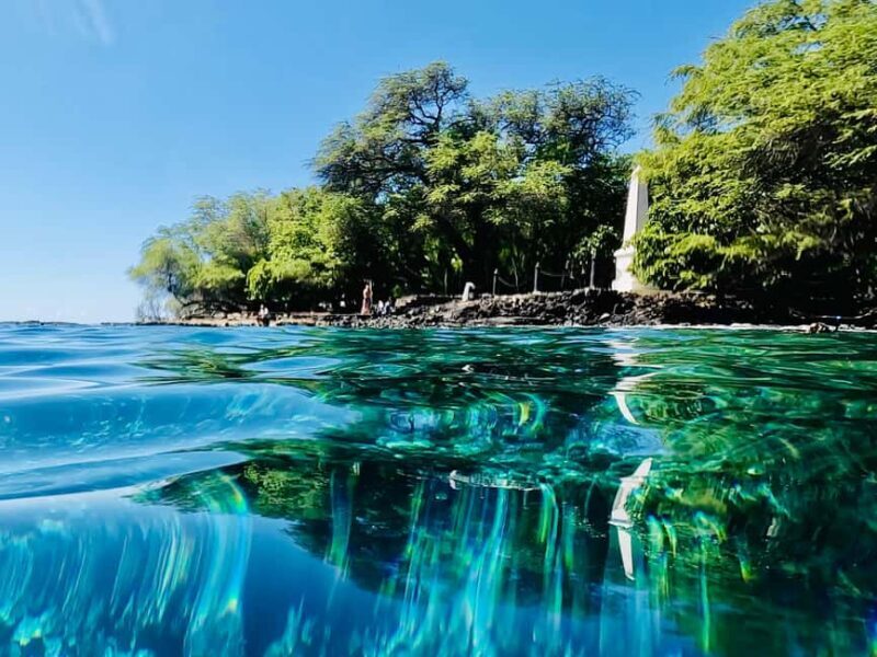 Kealakekua Bay Dolphin Watching, Snorkeling Boat Tour, BBQ - Who Should Book This Tour?