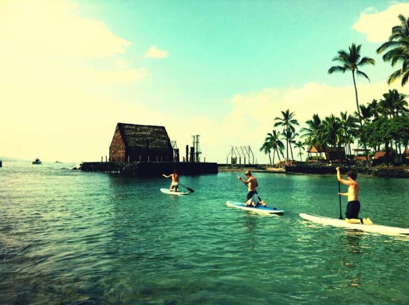 Kealakekua Bay: Stand-Up Paddleboard Lesson or Tour - Key Points