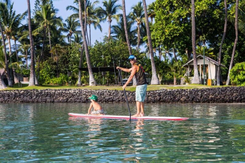 Kealakekua Bay: Stand-Up Paddleboard Lesson or Tour - Experience Overview: What You Can Expect