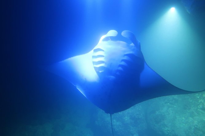 Keauhou Manta Ray Night Snorkel - Meeting Point Instructions