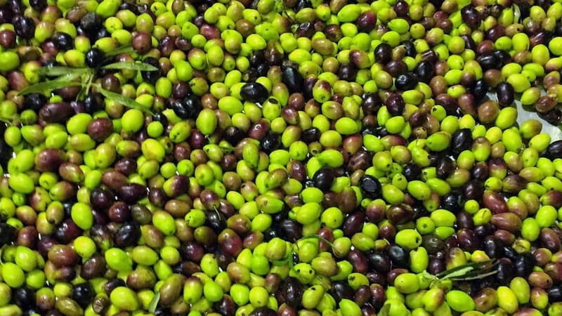 Kefalonia: Culinary and Cultural Guided Tour - Exploring the Heart of Kefalonia’s Food and Wine