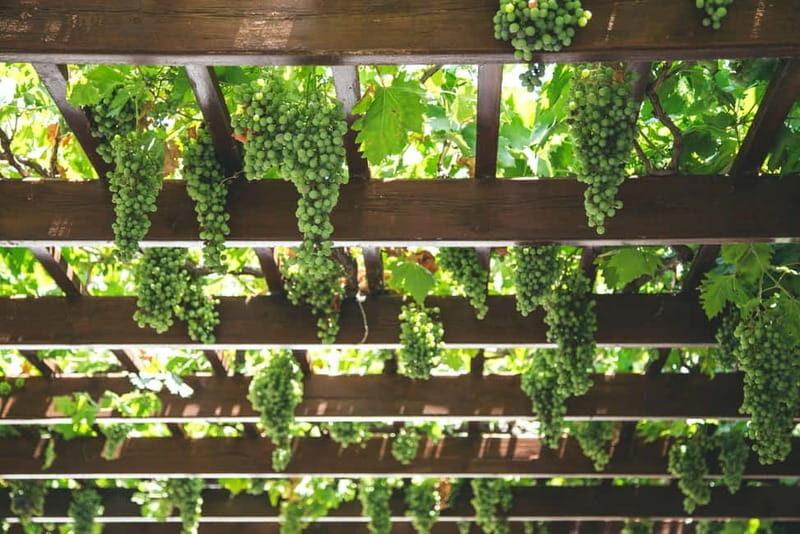 Kefalonia: Culinary and Cultural Guided Tour - The Sum Up: Who Will Love This Tour?
