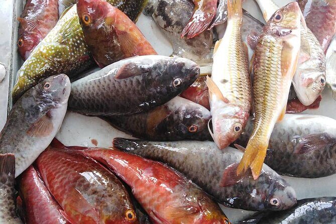 Kefalonia Fishing Tour: Tradition, Flavors & Turquoise Seas - Leisure, Swimming, and Fun