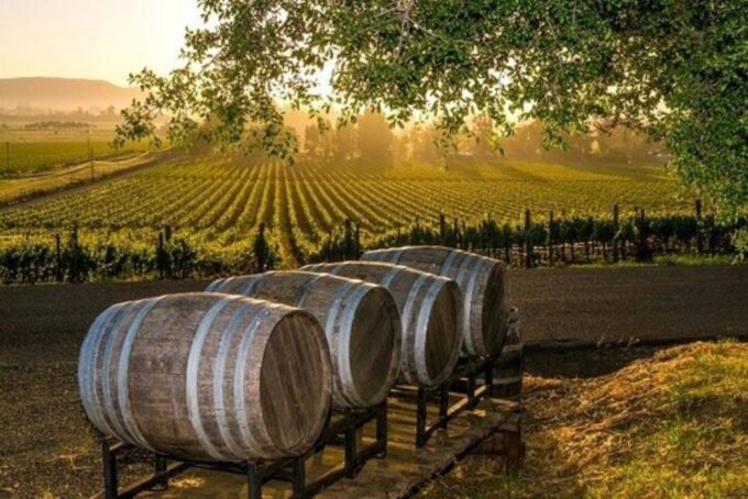 Kefalonia: Private Wine Tasting With Vineyard Tour - Tips for Enjoying Your Tour