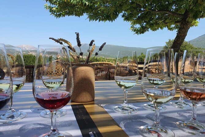 Kefalonia Private Wine Tour - Authentic Experiences and Traveler Feedback