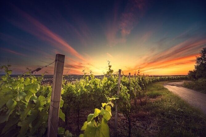 Kefalonia Private Wine Tour - Final Thoughts