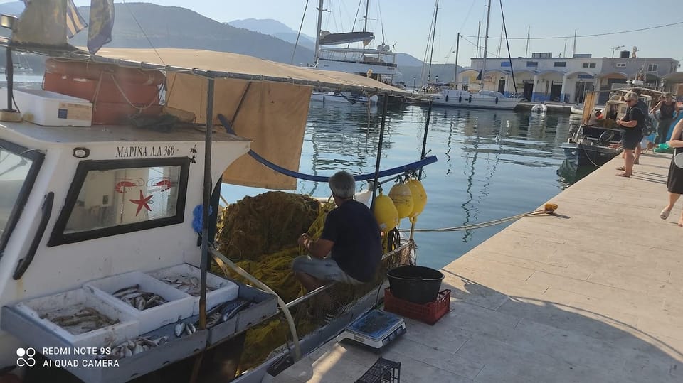 Kefalonia:Private Half-Day Sightseeing Tour& Shore Excursion - Authentic Experiences and Visitor Feedback