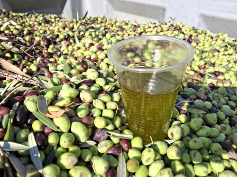 Kefalonia:Private Olive Oil, Honey & Wine Tasting Experience - Kefalonia: Private Olive Oil, Honey & Wine Tasting Experience — A Deep Dive into Authentic Kefalonian Flavors