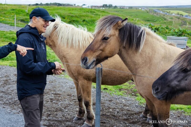 Keflavik: Golden Circle Private Tour with Airport Pickup - An Authentic Introduction to Iceland’s Golden Circle